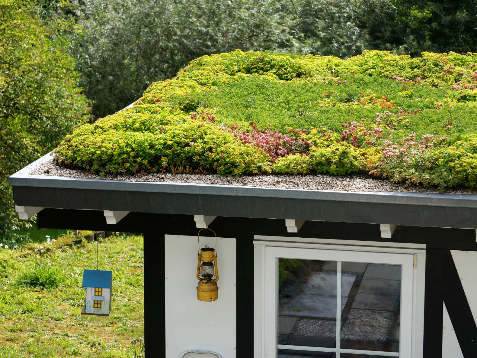 Blühendes Gründach